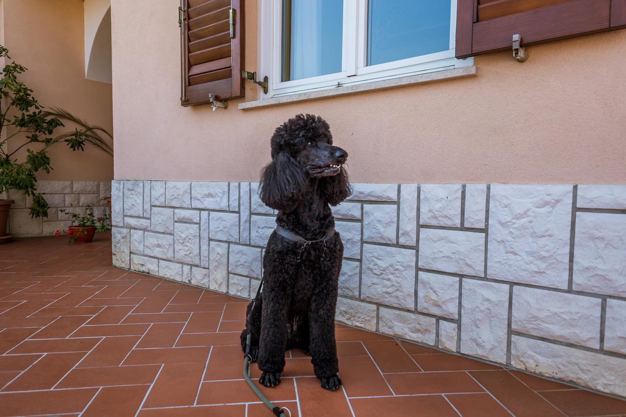 Rona Apartments Ani Ičići Buitenkant foto